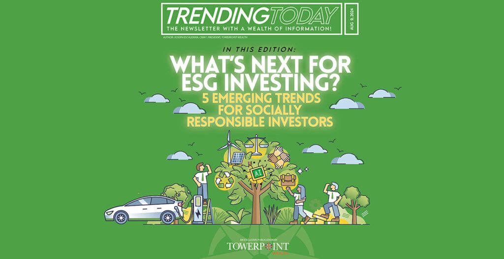 Socially responsible investors | ESG investing